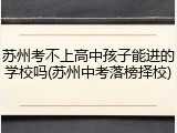 苏州考不上高中孩子能进的学校吗(苏州中考落榜择校)