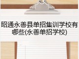 昭通永善县单招集训学校有哪些(永善单招学校)
