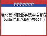 淮北艺术职业学院中专部怎么样(淮北艺职中专如何)