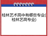 桂林艺术高中有哪些专业(桂林艺高专业)