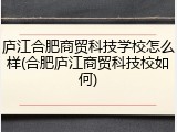 庐江合肥商贸科技学校怎么样(合肥庐江商贸科技校如何)