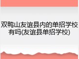 双鸭山友谊县内的单招学校有吗(友谊县单招学校)