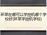 环翠在哪可以学挖机哪个学校好(环翠学挖机学校)