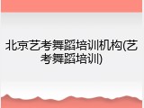 北京艺考舞蹈培训机构(艺考舞蹈培训)