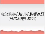 乌尔禾挖机培训机构哪家好(乌尔禾挖机培训)