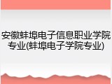 安徽蚌埠电子信息职业学院专业(蚌埠电子学院专业)