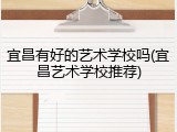 宜昌有好的艺术学校吗(宜昌艺术学校推荐)