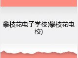 攀枝花电子学校(攀枝花电校)