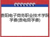 贵阳电子商务职业技术学院学费(贵电商学费)