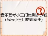 音乐艺考小三门集训多少钱(音乐小三门培训费用)