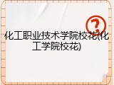 化工职业技术学院校花(化工学院校花)