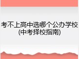 考不上高中选哪个公办学校(中考择校指南)