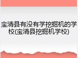 宝清县有没有学挖掘机的学校(宝清县挖掘机学校)