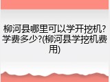 柳河县哪里可以学开挖机?学费多少?(柳河县学挖机费用)