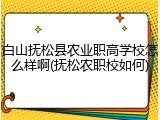 白山抚松县农业职高学校怎么样啊(抚松农职校如何)