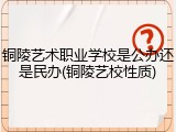 铜陵艺术职业学校是公办还是民办(铜陵艺校性质)