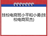 技校电商班小平和小勇(技校电商双杰)