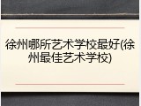 徐州哪所艺术学校最好(徐州最佳艺术学校)