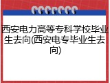 西安电力高等专科学校毕业生去向(西安电专毕业生去向)