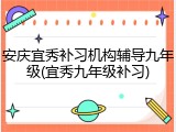 安庆宜秀补习机构辅导九年级(宜秀九年级补习)