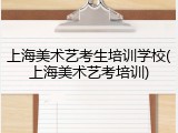 上海美术艺考生培训学校(上海美术艺考培训)