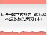我被贵族学校抓去当庶民样本(贵族校的庶民样本)