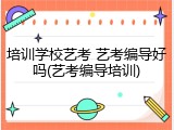 培训学校艺考 艺考编导好吗(艺考编导培训)