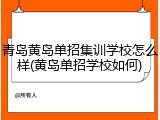 青岛黄岛单招集训学校怎么样(黄岛单招学校如何)