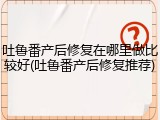 吐鲁番产后修复在哪里做比较好(吐鲁番产后修复推荐)