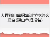大理巍山单招集训学校怎么报名(巍山单招报名)
