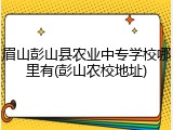 眉山彭山县农业中专学校哪里有(彭山农校地址)