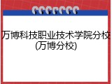 万博科技职业技术学院分校(万博分校)