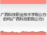 广西科技职业技术学院公办的吗(广西科技职院公办)