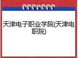 天津电子职业学院(天津电职院)