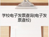 学校电子发票查询(电子发票查校)