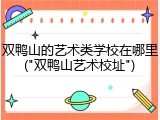 双鸭山的艺术类学校在哪里("双鸭山艺术校址")