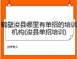 鹤壁浚县哪里有单招的培训机构(浚县单招培训)