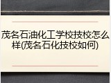 茂名石油化工学校技校怎么样(茂名石化技校如何)