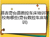 昌吉奇台县数控车床培训学校有哪些(奇台数控车床培训)