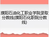 濮阳石油化工职业学院录取分数线(濮阳石化职院分数线)