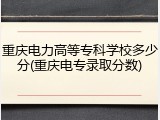 重庆电力高等专科学校多少分(重庆电专录取分数)