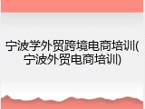 宁波学外贸跨境电商培训(宁波外贸电商培训)