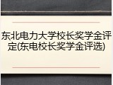 东北电力大学校长奖学金评定(东电校长奖学金评选)