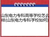 山东电力专科高等学校怎么样(山东电力专科学校如何)