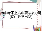 初中考不上高中要怎么办呢(初中升学出路)