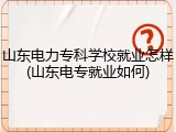 山东电力专科学校就业怎样(山东电专就业如何)