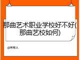那曲艺术职业学校好不好(那曲艺校如何)