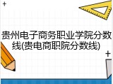 贵州电子商务职业学院分数线(贵电商职院分数线)