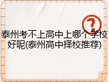 泰州考不上高中上哪个学校好呢(泰州高中择校推荐)