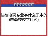 技校电商专业学什么职中的(电商技校学什么)